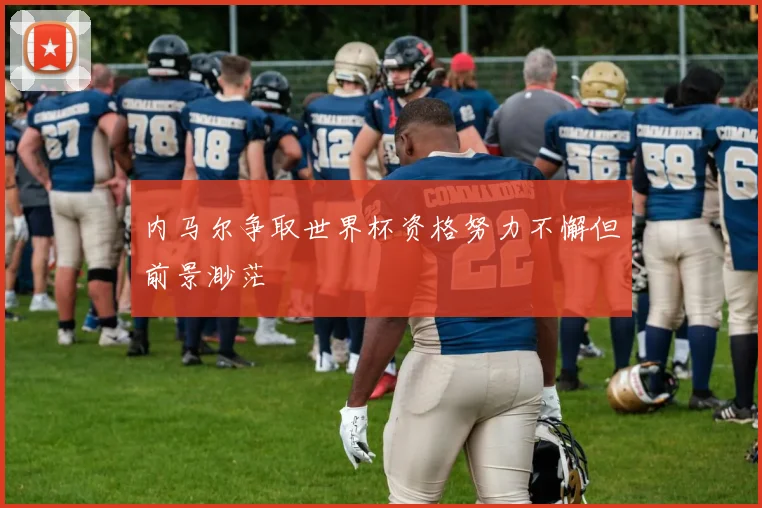 内马尔争取世界杯资格努力不懈但前景渺茫