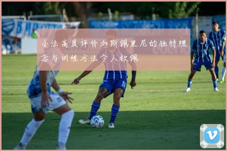 小法高度评价加斯佩里尼的独特理念与训练方法令人钦佩