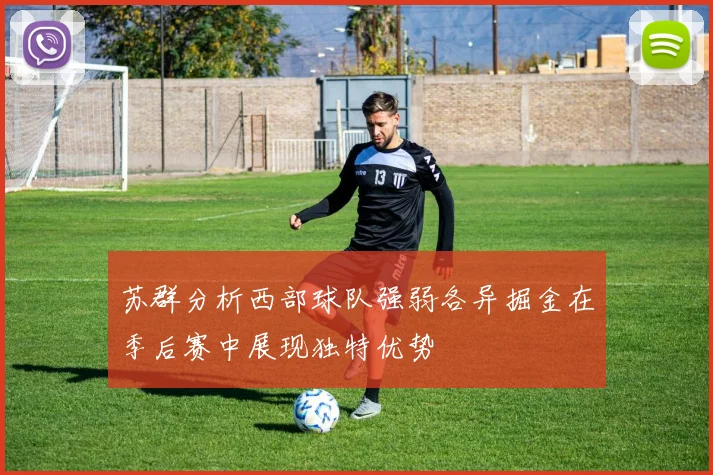 苏群分析西部球队强弱各异掘金在季后赛中展现独特优势