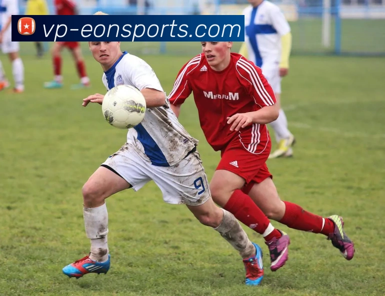 意昂体育平台生态图